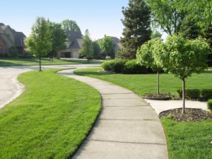 Lawn Care New Smyrna Beach
